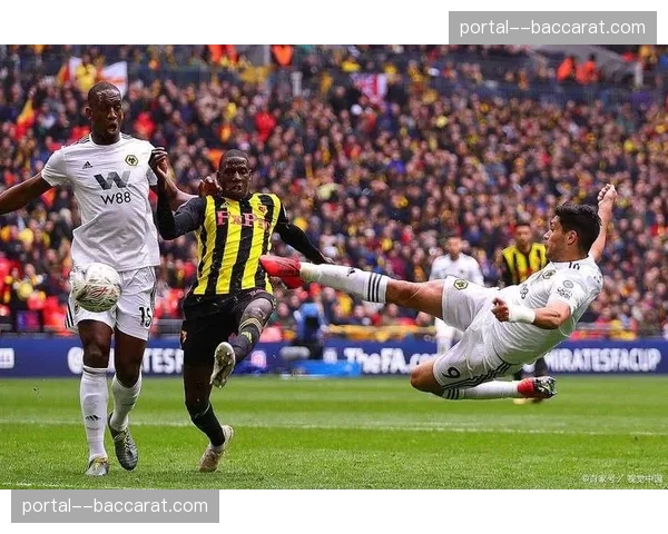 狼队攻防两端均存不足 失球数远超进球数降级压力持续增大